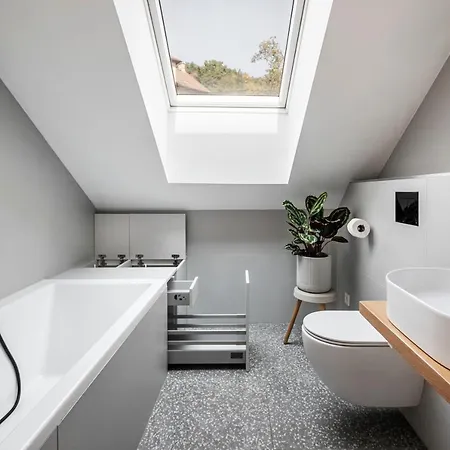 The Attic Near The Centar Cres